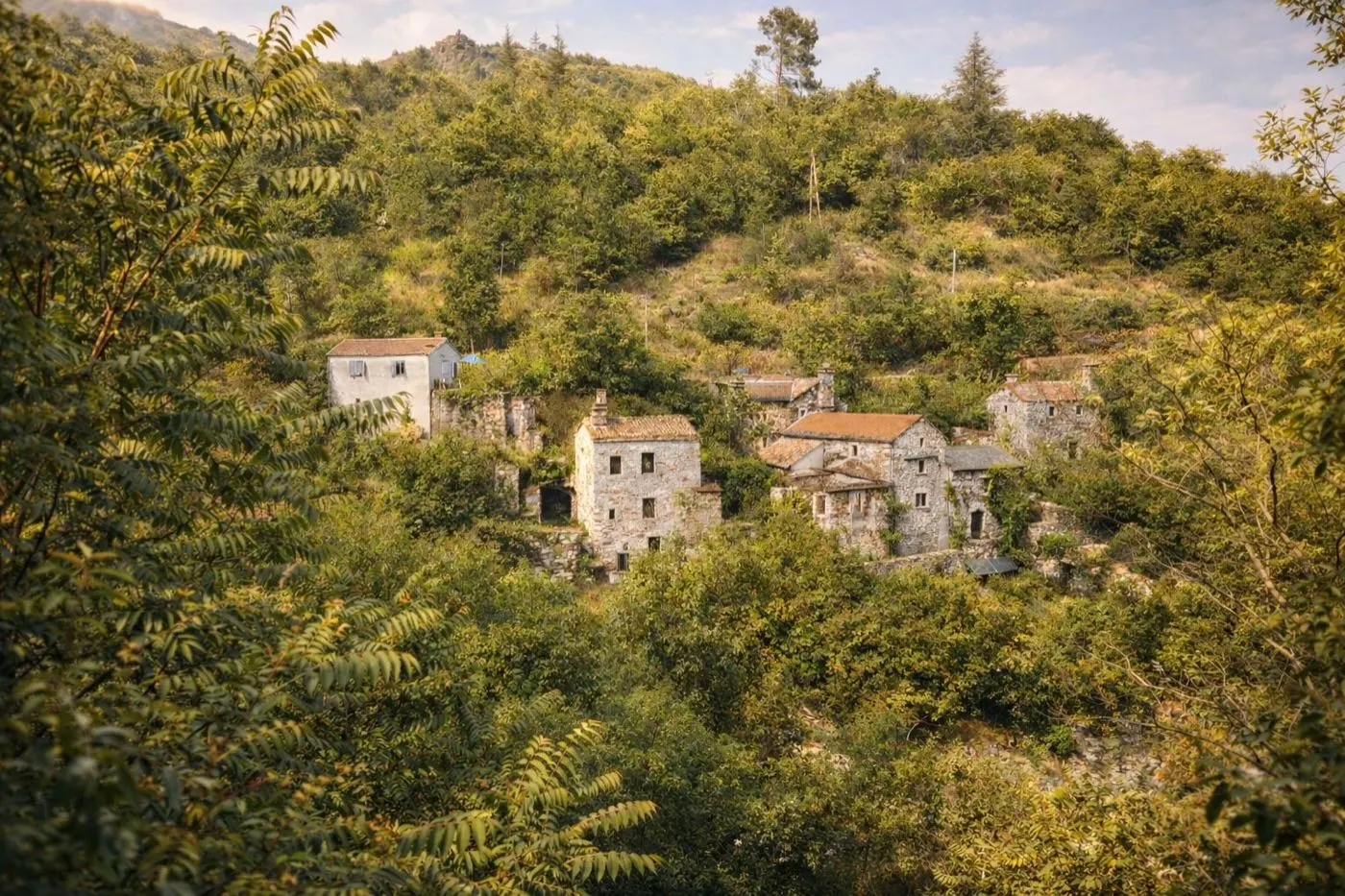 Le hameau Wake Up Village vu de la forêt