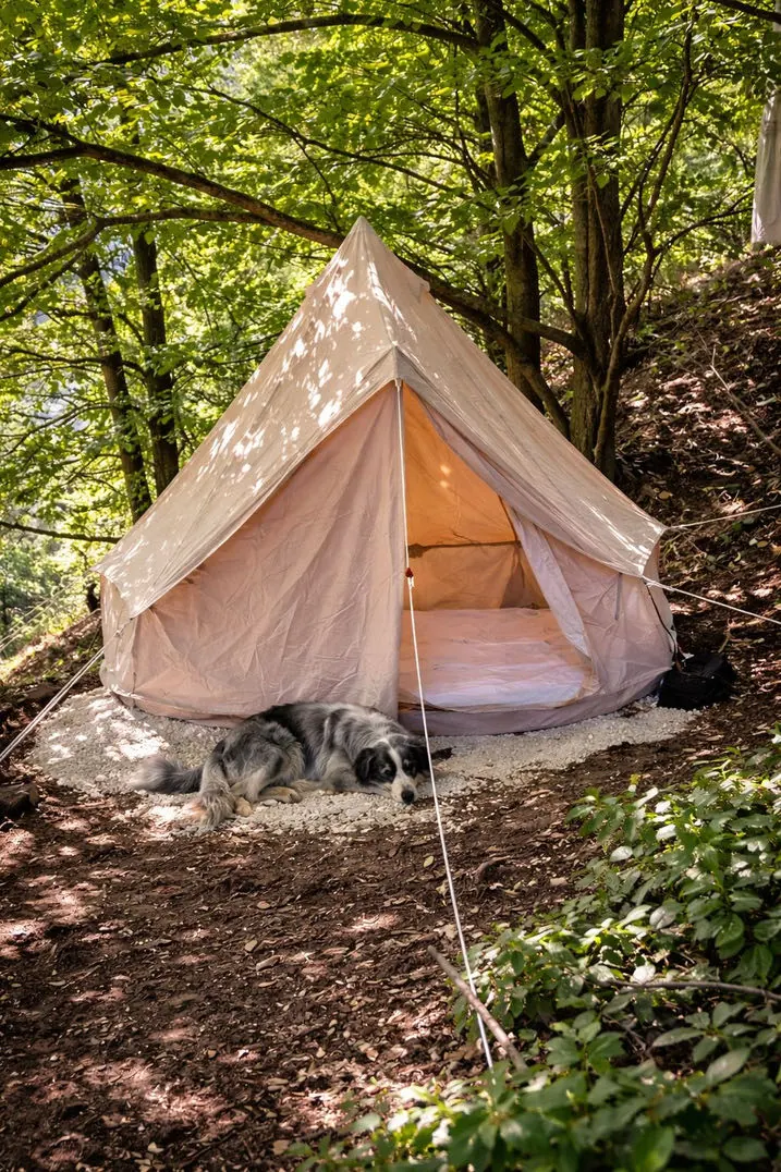 Tente glamping dans la forêt des Cévennes