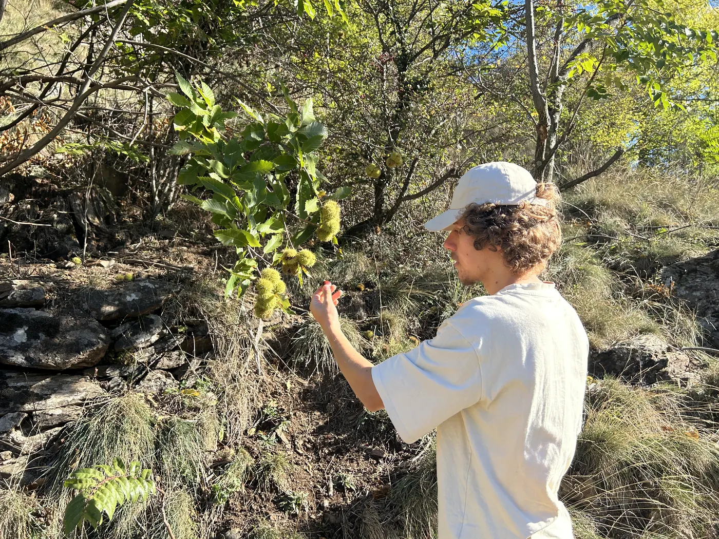 Bastien et les arbres — Wake Up Village