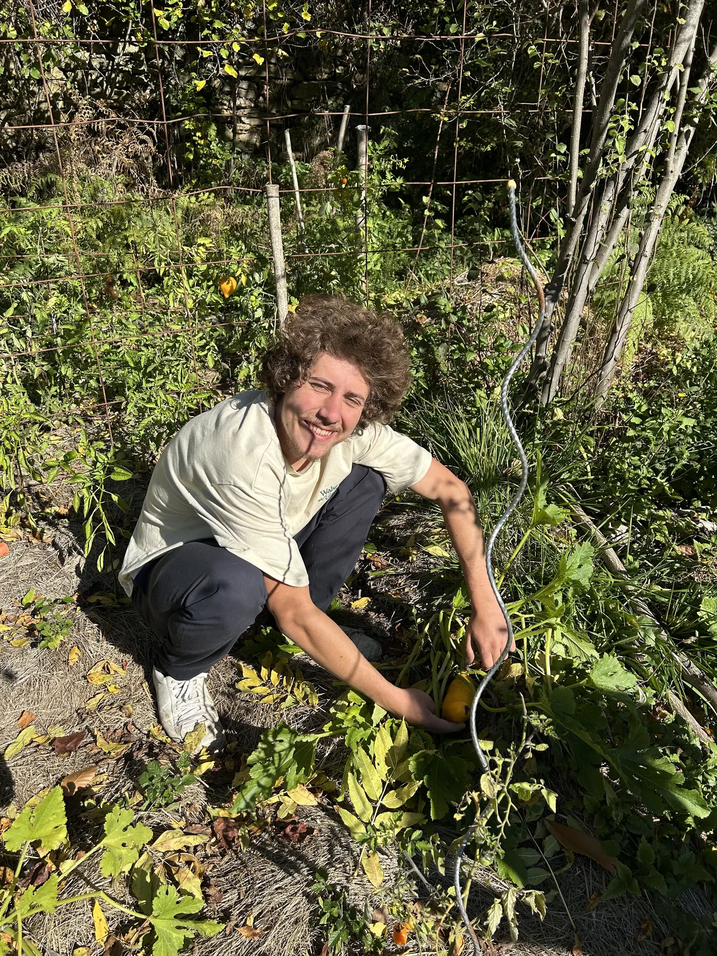 Bastien dans le potager — Wake Up Village