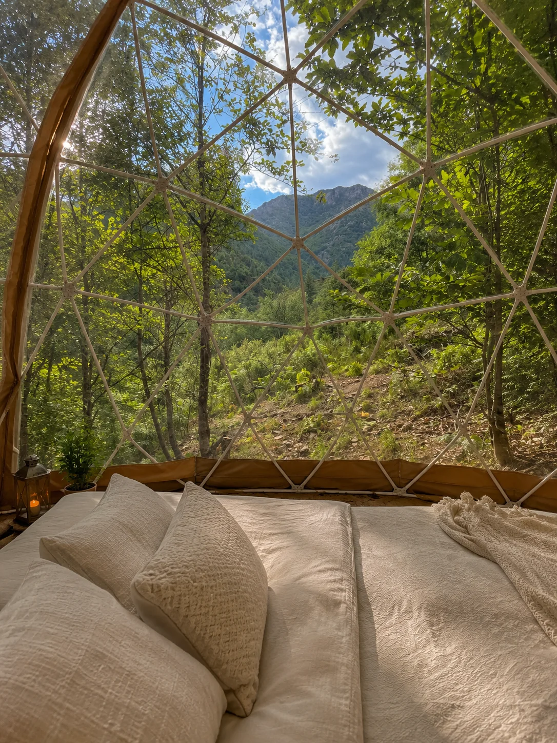 À l'intérieur : la forêt à travers la bulle, lit cocon