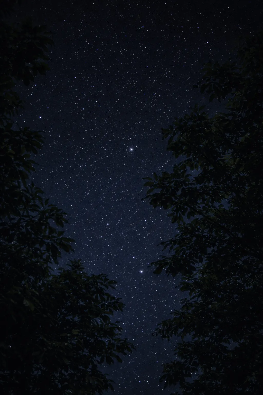 Nuit étoilée au-dessus du domaine