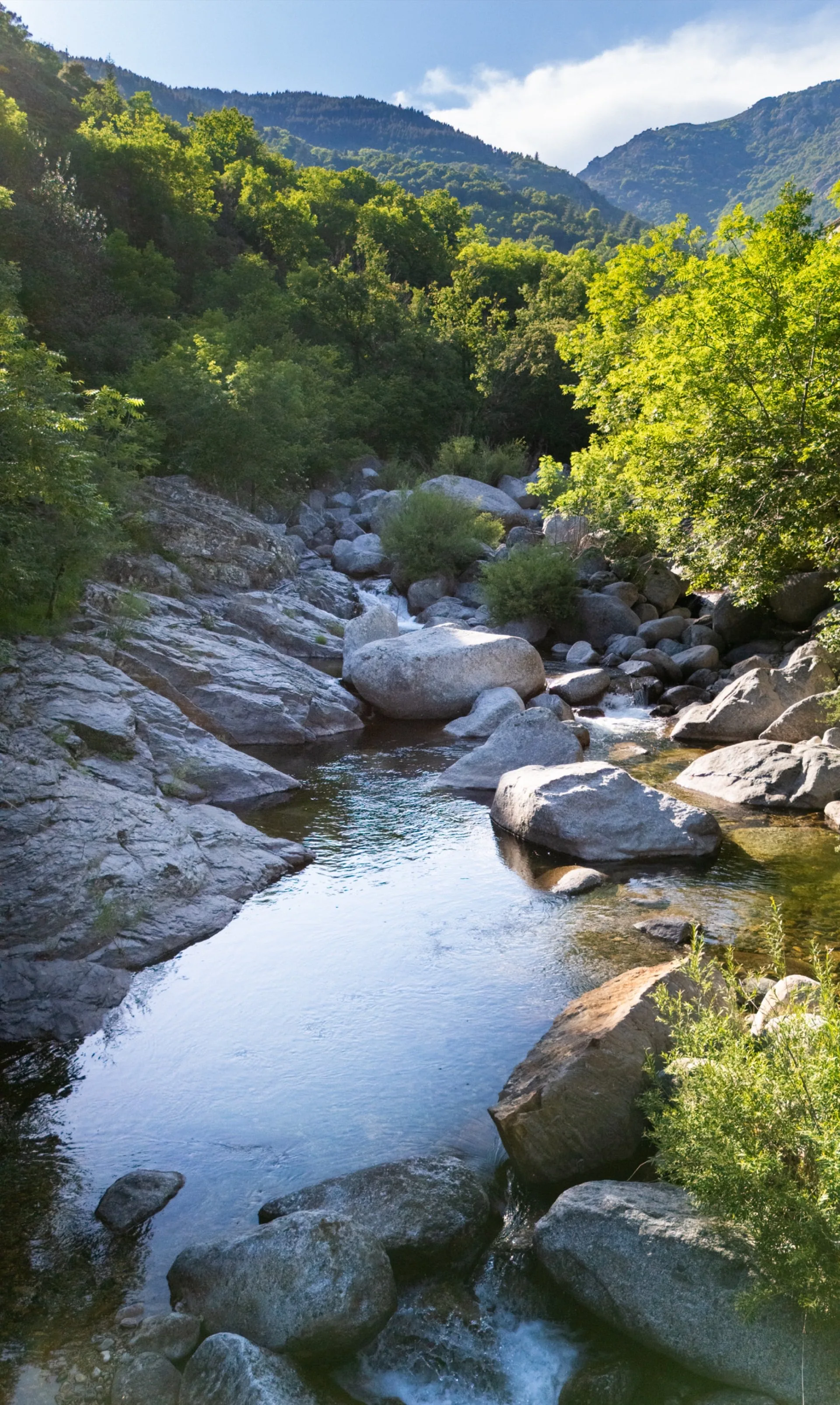 La vallée des Cévennes, à perte de vue
